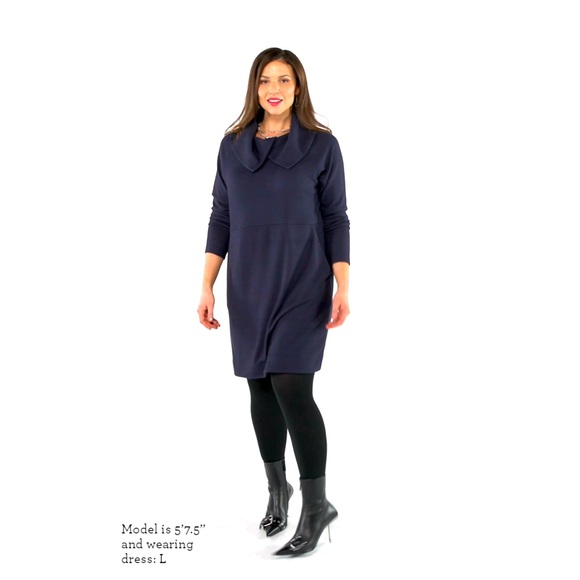 CAbi Roundup Dress - Picture 1 of 5